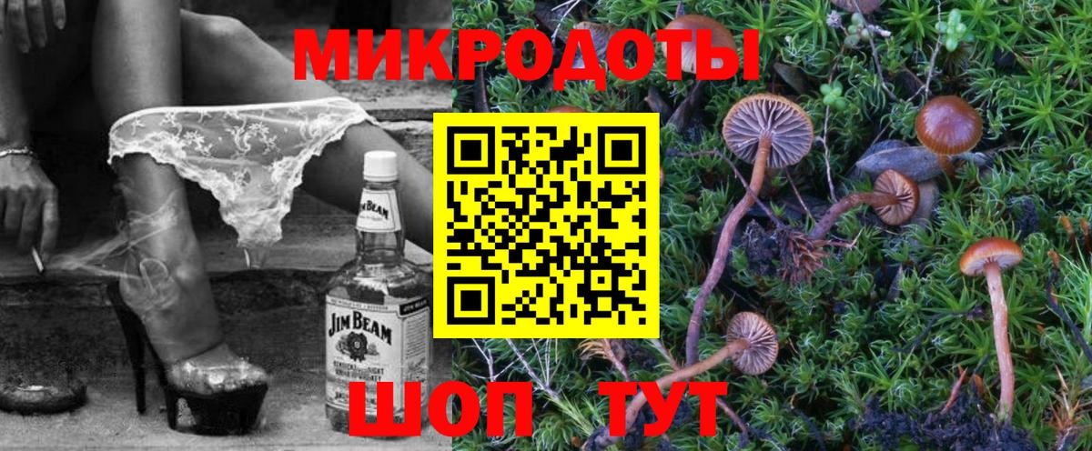 Галлюциногенные грибы GOLDEN TEACHER  Вход с VPN  Дивногорск  Псилоцибиновые грибы GOLDEN TEACHER 